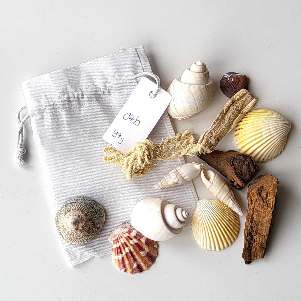 Deko Muscheln im Organdy Säckchen