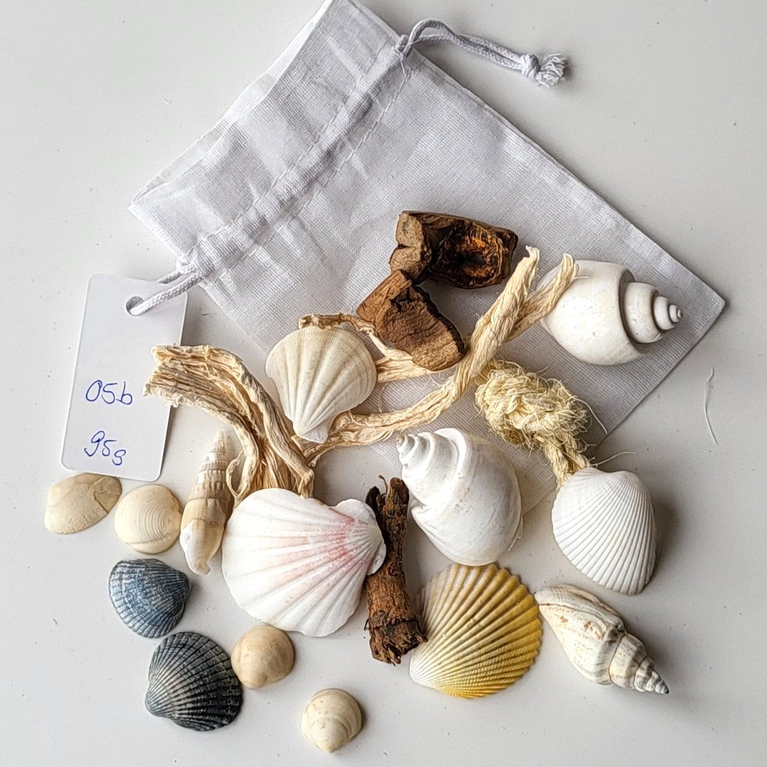 Deko Muscheln im Organdy Säckchen