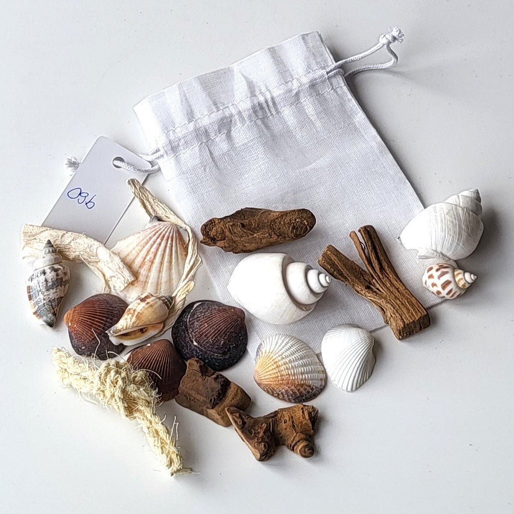 Deko Muscheln im Organdy Säckchen