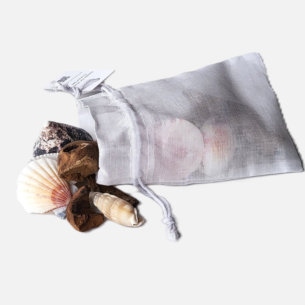 Deko Muscheln im Organdy Säckchen