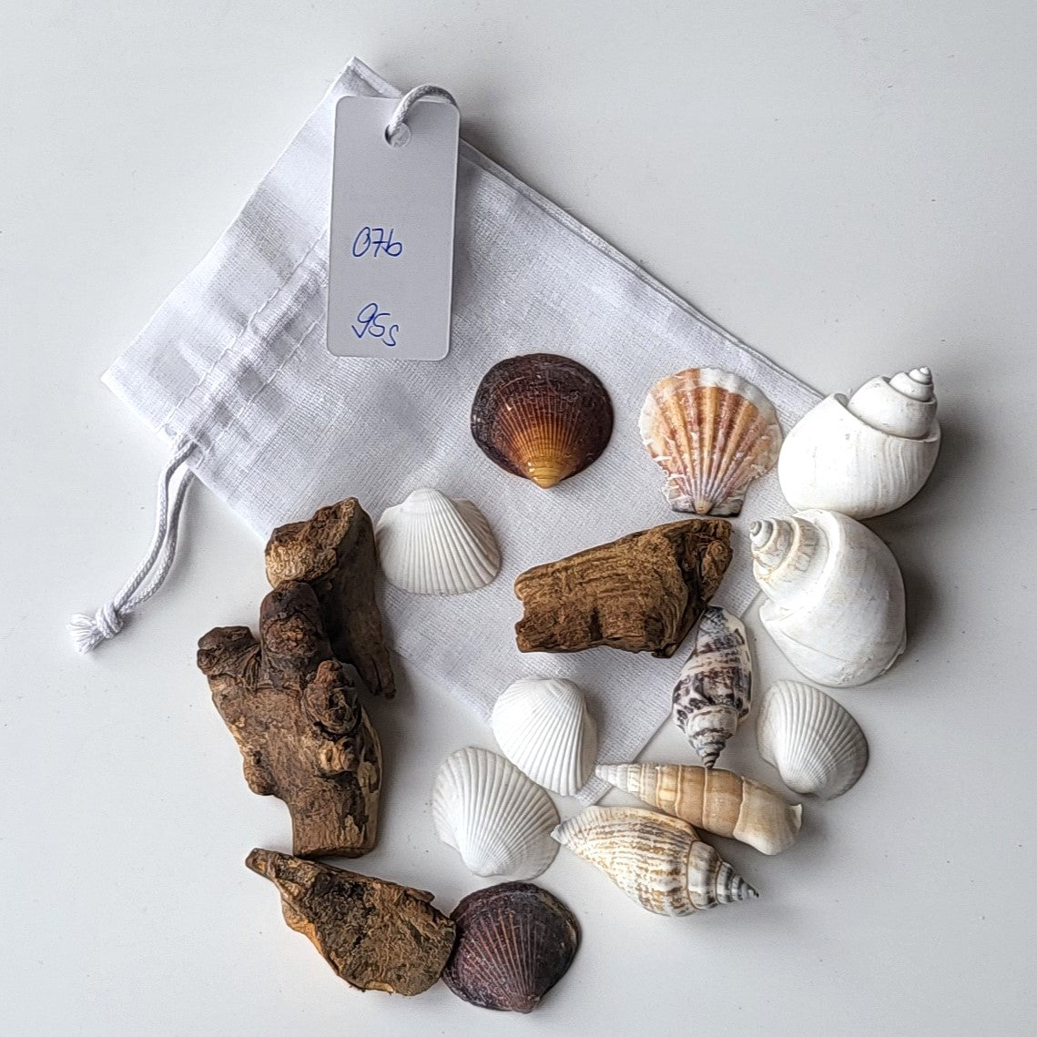 Deko Muscheln im Organdy Säckchen